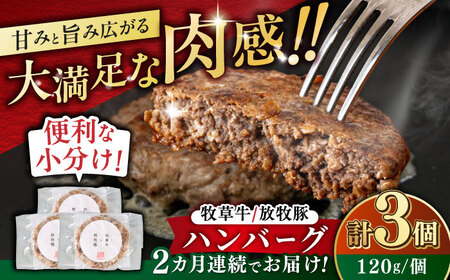 [全2回定期便] [牧草牛×放牧豚]ハンバーグ 3個 [厚真町][GOODGOOD株式会社] ハンバーグ 牛肉 豚肉 小分け 冷凍配送 北海道[AXBP022]