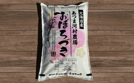 [全3回定期便][有機質肥料・低農薬]おぼろづき10kg [厚真町][あつま河村農場][AXAJ003]