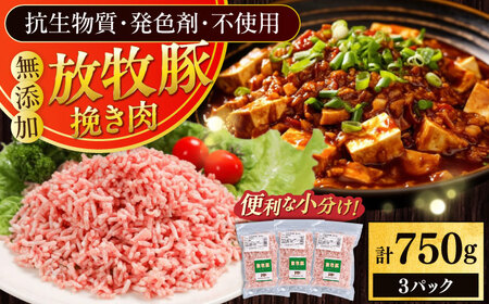 放牧豚 挽き肉 計750g(250g×3) 精肉 スライス 小分け 冷凍 北海道 [AXBA121]
