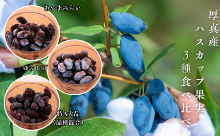 [9月以降順次発送]北海道厚真町産 冷凍ハスカップ 3種食べ比べセット 計1kg [とまこまい広域農業協同組合] ハスカップ ハスカップ 特産品 特産品 R7年産 北海道 [AXAB051]