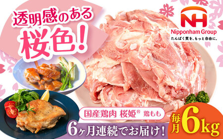 yS6ցzP { v6kg i2kg×3pbNjy{t[hЁz Y { Ƃ   { Ⓚ kC [AXBM039]