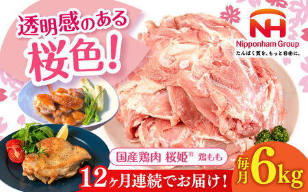 yS12ցzP { v6kg i2kg×3pbNjy{t[hЁz Y { Ƃ   { Ⓚ kC [AXBM040]