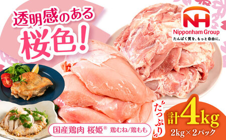 P {ނˁ{Zbg v4kg {ނˁE{ e2kg y{t[hЁz{ g  l  uhⓀ Y kC  [AXBM043]