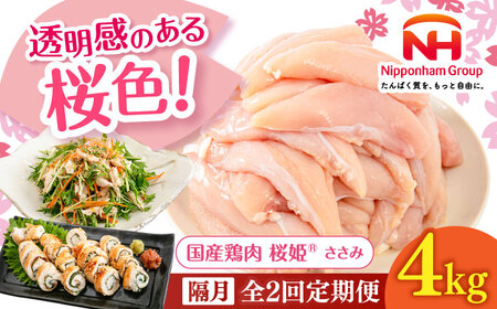 yuS2ցzP  v4kgi2kg×2pbNjy{t[hЁz Y { Ƃ  TT~ Ⓚ kC [AXBM076]