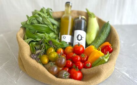 季節の有機野菜セット2〜3人分 [AXBV007] 北海道 旬 詰め合わせ