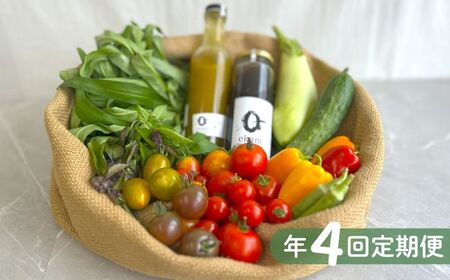 [年4回定期便] 季節の有機野菜セット 2〜3人分 [AXBV009] 北海道 詰め合わせ