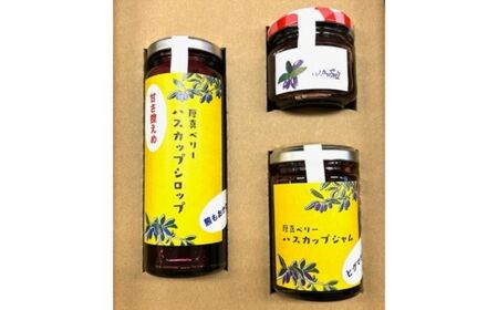 ハスカップシロップ・粒・ジャム 各1本セット[株式会社知熊屋] [AXBN008]