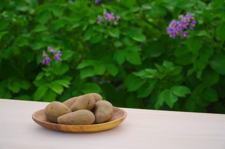 [二年熟成] 氷室熟成あつまいも(メークイン)9.5kg×1箱 [厚真町] [株式会社伝平さんの畑] じゃがいも ジャガイモ メークイン 芋 熟成 熟成芋 野菜 北海道 [AXAD002]