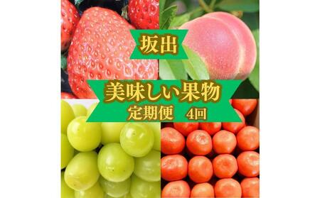 [定期便]坂出の美味しい果物定期便 季節の果物を年間4回に分けてお届け!