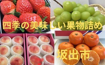 [定期便]四季の美味しい果物詰め 年間4回に分けてお届け!