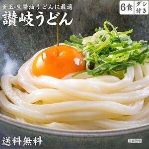 讃岐うどん6食つゆ付(普通麺) | うどん 普通麺 麺 うどん 讃岐うどん うどん 人気 麺 麺類 普通麺 うどん 普通麺 麺 うどん 讃岐うどん うどん