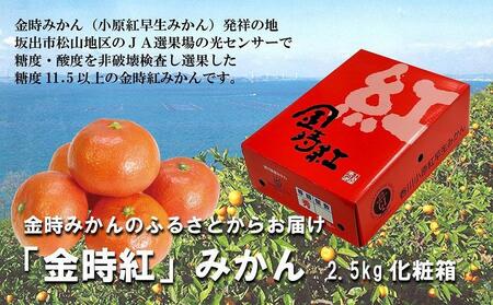 [金時みかんのふるさとから]金時紅みかん約2.5kg(21〜30玉入り)化粧箱入り