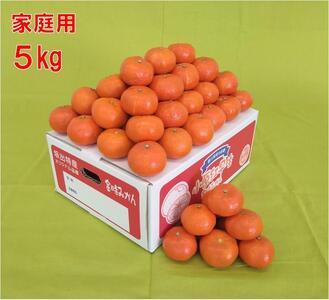 2025N12oӂꂠYs̏g 5kgij