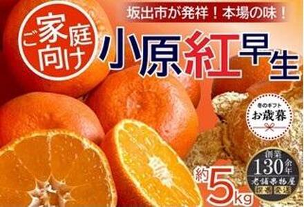 [お歳暮ギフト]ご家庭向け!小原紅早生みかん 約5kg[坂出発祥の真っ紅なお蜜柑] |みかん フルーツ 旬 美味しい みかん 新鮮 フルーツ みかん 詰合せ セット フルーツ 人気 フルーツ 厳選 おすすめ フルーツ