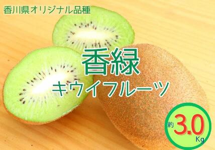 [先行受付 2025年発送]香緑 キウイフルーツ 約3.0kg