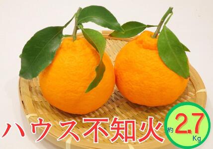 ハウス不知火 約2.7kg