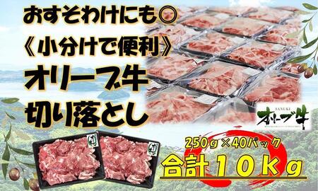 s킯ɂEEeʁtI[u؂藎Ƃ10kg