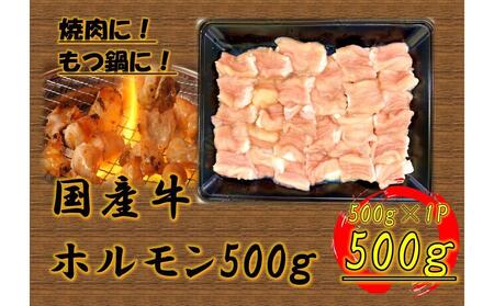 国産牛 ホルモンセット 500g