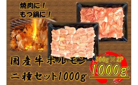 国産牛　ホルモン二種セット1000g