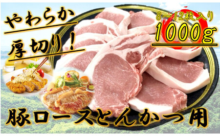 柔らか厚切り!豚ロースとんかつ用 1kg(8〜12枚入り)