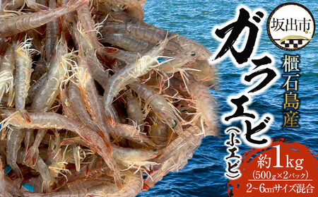 櫃石島産ガラエビ(小エビ)約1kg [500g×2パック]
