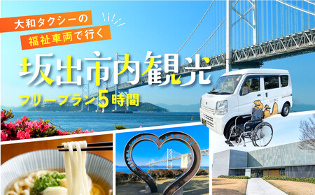 yosza^NV[̕ԗł߂osό  t[v5ԁiԈ֎q1܂ލőRjwp[ł炭炭ό