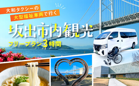 yosza^NV[̑^ԗł߂osό  t[v3ԁiԈ֎q2܂ł܂ލő8jwp[ł炭炭ό