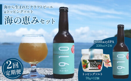 [全2回発送]日本海水 海の恵みセット([1回目]はクラフト発泡酒「910」330 ml × 2本 [2回目]はトッピングソルト70g × 12個 をお届け)