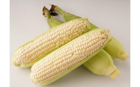 2026N6{ȍ~Es\񁄂Ƃ낱 zCgR[ 2.5kg×2