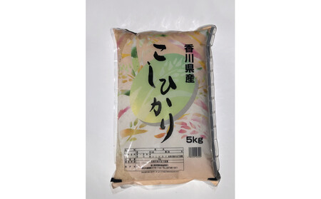 令和7年度 香川県産コシヒカリ5kg
