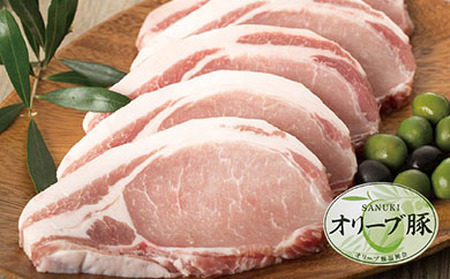 豚肉 オリーブ豚 ロースとんかつ用 600g(120g×5枚)[化粧箱入り][配送不可:離島]