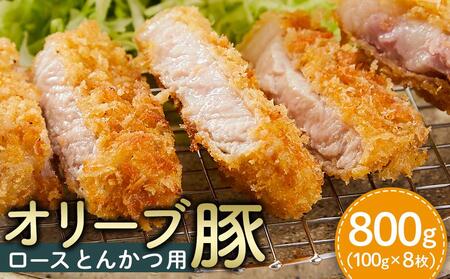 [ギフト用]豚肉 オリーブ豚 ロースとんかつ用 800g(100g×8枚)[化粧箱入り][配送不可:離島] 