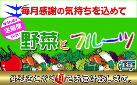 〈定期便12回〉創業100年！老舗の八百屋がチョイスした厳選やさいと旬の果物の詰め合わせ