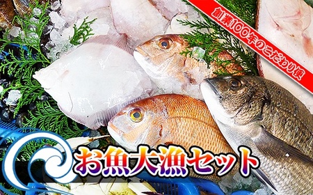 [瀬戸内海産]創業100年の魚屋さんが選び抜いた旨い鮮魚直送便〜[配送不可地域:北海道・東北地方・沖縄・離島]