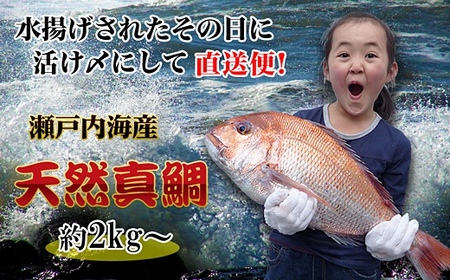 [�������Ȃ�]�ᐣ�˓��C�Y�⒩1�Ԑ��g�����ꂽ�V�R�^��𒼑��v���܂��B�m����T�C�Y�n