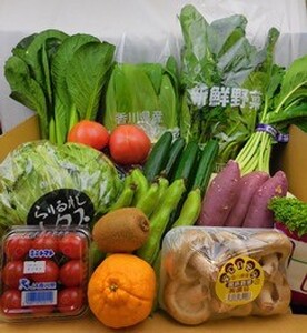 野菜ソムリエが選ぶ旬のお野菜12品目+旬の果物1品(毎月1回×12ヶ月)