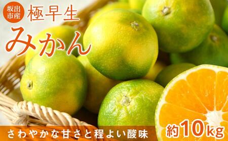 坂出市産 極早生みかん 約10kg(80〜120個前後) ※配送不可地域_沖縄県