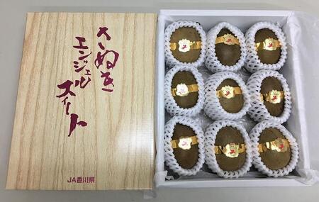 さぬきエンジェルスイートキウイ 約1kg化粧箱入り|フルーツ 果物 くだもの キュウイ 食品 さぬき 坂出市 人気 おすすめ 送料無料