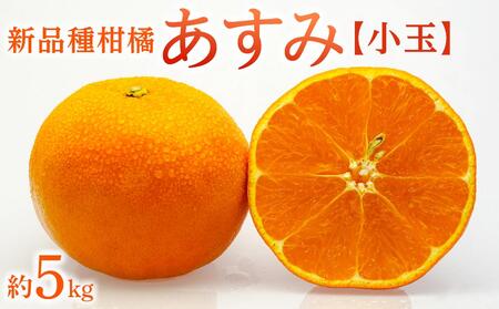 Vi특ku݁v 5kg