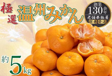 極撰!温州みかん 約5kg