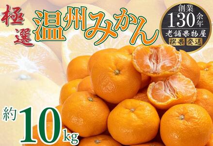極撰!温州みかん 約10kg | 温州みかん 温州みかん 温州みかん 温州みかん 温州みかん