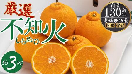 濃厚ぷりっぷりっ♪厳選「不知火(しらぬひ)」約3kg | 不知火 不知火 不知火 不知火 不知火