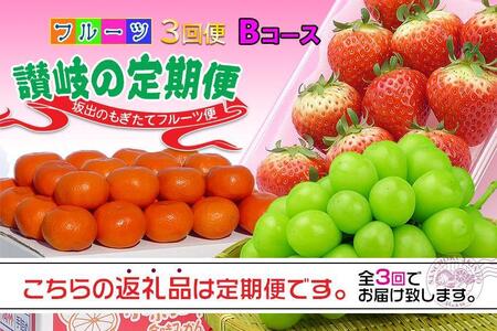 [定期便3回Bコース] フルーツ セット 定期便 ( いちご 約250g × 4パック & シャインマスカット 1房 約600g以上 & みかん 約5kg × 3ヶ月 ) |産直あきんど 坂出産 創業100年