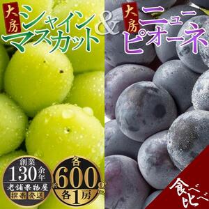 大房シャインマスカット&大房ニューピオーネ 各1房(各約600g)