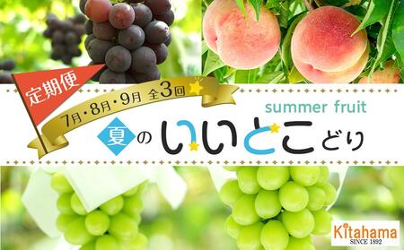 夏のいいとこどり定期便 [7月・8月・9月]全3回 |フルーツ 旬 美味しい 新鮮 フルーツ 詰合せ セット フルーツ 人気 フルーツ 厳選 おすすめ フルーツ