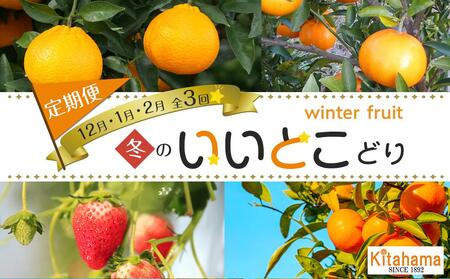 冬のいいとこどり定期便 [12月・1月・2月]全3回 |フルーツ 旬 美味しい 新鮮 フルーツ 詰合せ セット フルーツ 人気 フルーツ 厳選 おすすめ フルーツ