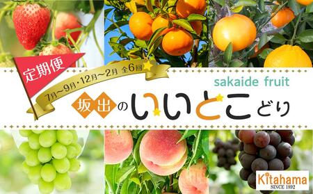 坂出のいいとこどり定期便 [7月・8月・9月・12月・1月・2月] 全6回 |フルーツ 旬 美味しい 新鮮 フルーツ 詰合せ セット フルーツ 人気 フルーツ 厳選 おすすめ フルーツ