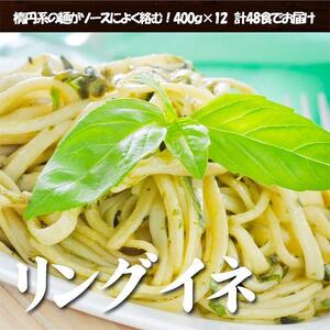 生パスタ リングイネ 4.8kg 48食分( 麺 400g:4食 × 12袋 )|生麺