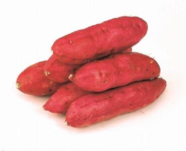 2026N8{ȍ~Es\񁄃zNzNn܂uov5kg×2@2L`MTCY