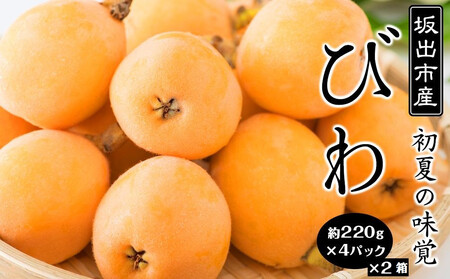 びわ 坂出市産 約1.8kg ( 4パック× 2箱 )|初夏の味覚